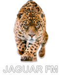 Jaguar FM